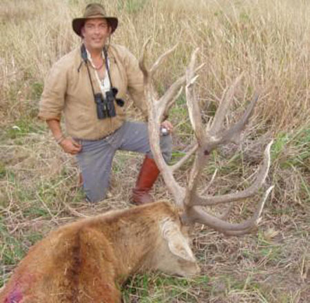 23points,SCIScore408