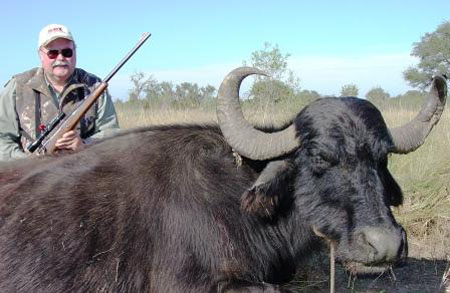 FarleyDanielsWaterBuffalo