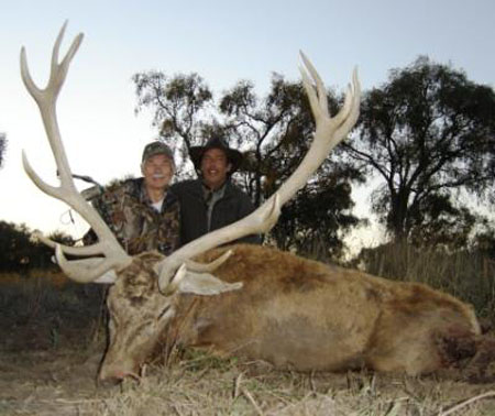Mr.GaryBogner,SilverMedalStag