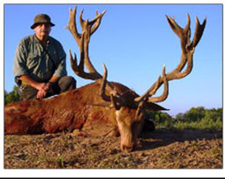 NewSouthAmericaRedDeerRecordSCIScore461-C.I.C.262