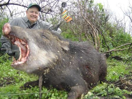 Pecaridelabiosblancos