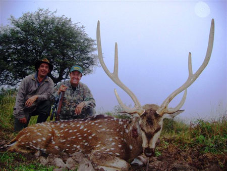 RogerCard,AxisNonTypical