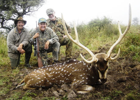 RogerCard,SCIScore153