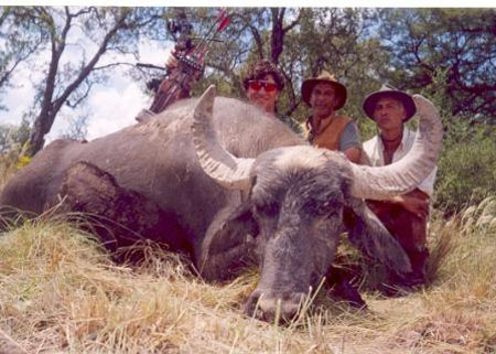 SCIScore107_1Bow,Mr.ArchieNesbitt