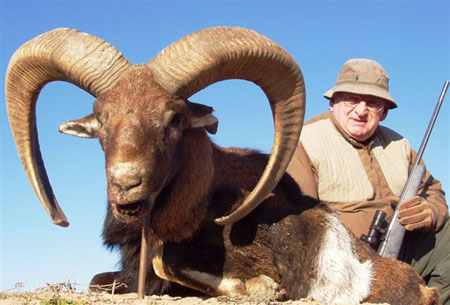 SCIScore139-3.8,_1INSouthAmerica