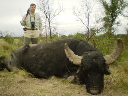 _1waterbuffalo,Mr,JimRyffelSCIScore119