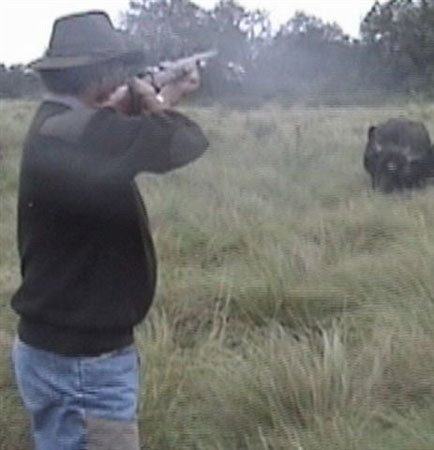 buffaloattack