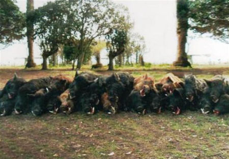 longweekendwith4hunters